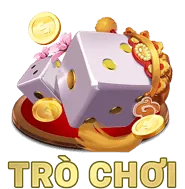 Biểu tượng kiểm soát truy cập nghiêm ngặt